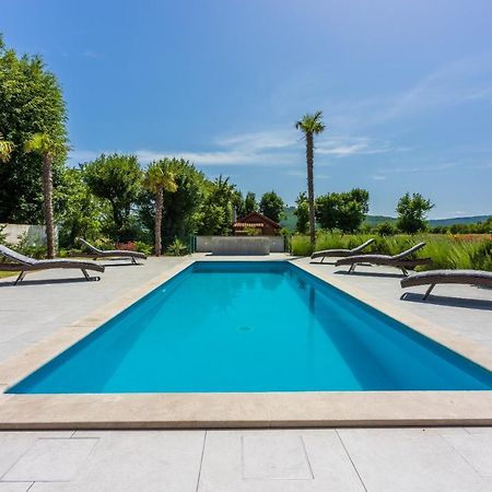 Villa Palma With Heated Private Pool Podhum Dış mekan fotoğraf